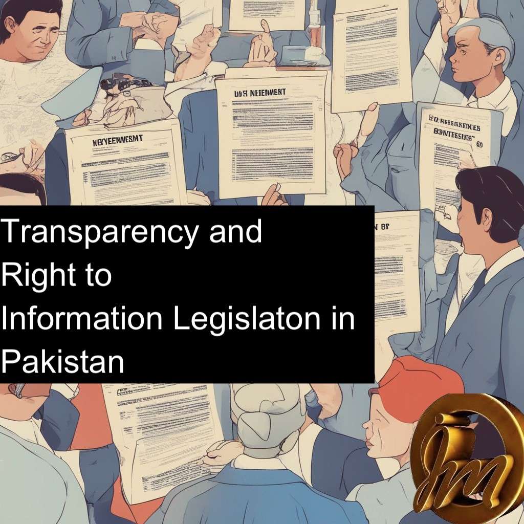 The Punjab Transparency and right to information Act 2013